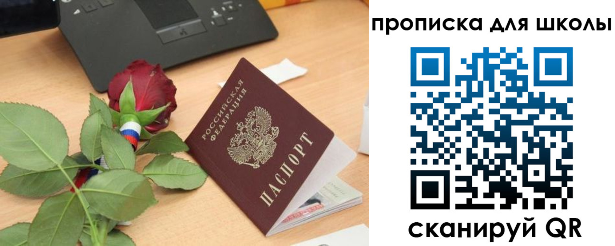 прописка паспорт в Щиграх